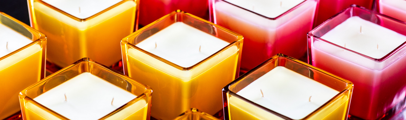 TEN DISTINCT EXPERIENCES